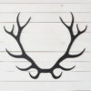 Deer Antlers Metal Art