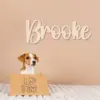 Custom Wooden Name Sign – 6mm Thick Personalized Wall Decor for Bedroom or Nursery | Double Layer Traditional Style Name Plaque