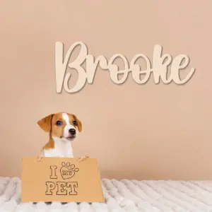 Custom Wooden Name Sign – 6mm Thick Personalized Wall Decor for Bedroom or Nursery | Double Layer Traditional Style Name Plaque
